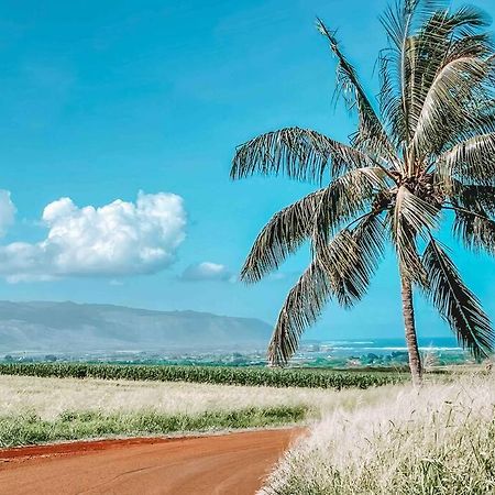 Cute Off Grid Glampsite With Wifi- 5 Min From Haleiwa Town Hotell Exteriör bild