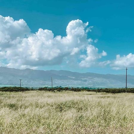 Cute Off Grid Glampsite With Wifi- 5 Min From Haleiwa Town Hotell Exteriör bild
