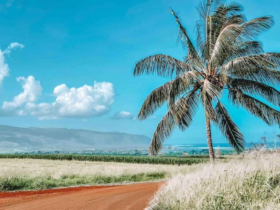Cute Off Grid Glampsite With Wifi- 5 Min From Haleiwa Town Hotell Exteriör bild