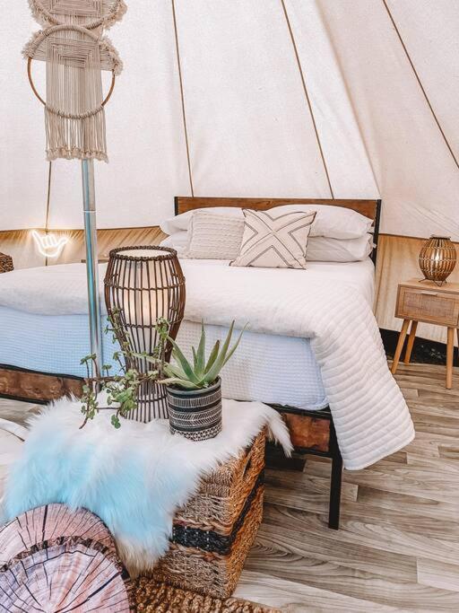 Cute Off Grid Glampsite With Wifi- 5 Min From Haleiwa Town Hotell Exteriör bild