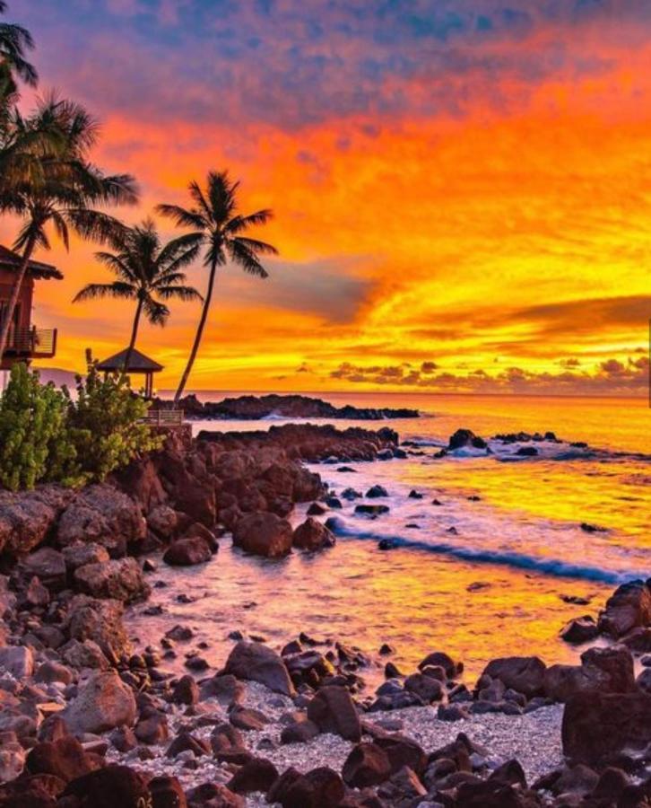 Cute Off Grid Glampsite With Wifi- 5 Min From Haleiwa Town Hotell Exteriör bild
